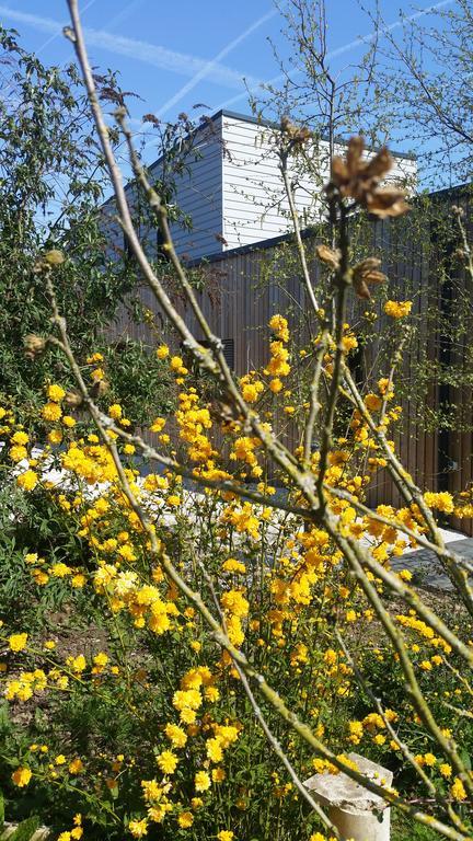 Gîte Noir Lapin Lesquin Exterior foto
